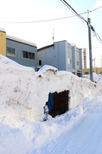 雪ニモマケズ烏ニモマケズ