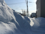 ここにも大雪山