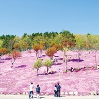 滝上町観光協会
