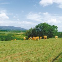 有限会社神内ファーム２１
