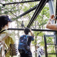 旭川市旭山動物園