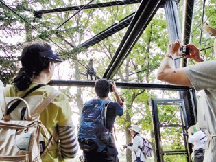 旭川市旭山動物園