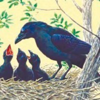 旭川市／旭川市生物多様性保全推進協議会