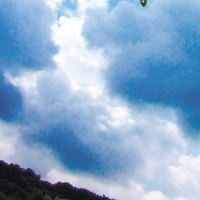 セキュアドローン協議会