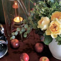 ａｔｅｌｉｅｒ ｇａｒｄｅｎ ｍｉｕ × ゆるりら