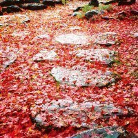 蕎麦と日本料理　おかだ紅雪庭