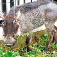 （公社）旭川中法人会・（公社）旭川東法人会