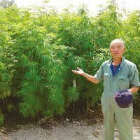 東川ヘンプ研究会