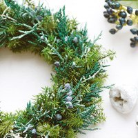 Ａｔｅｌｉｅｒ　ｇａｒｄｅｎ　ｍｉｕ