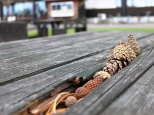 (株)東川振興公社