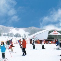 ㈱東川振興公社