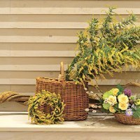 ＳＡＪＩ（サジ）