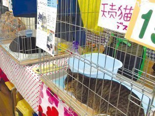 「人と海鳥と猫が共生する天売島」連絡協議会