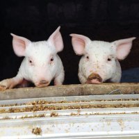 共栄いきもの愛園×旭川まるうんトラベル