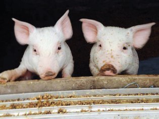 共栄いきもの愛園×旭川まるうんトラベル