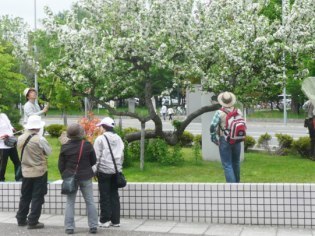大雪山マルハナバチ市民ネットワーク・大雪と石狩の自然を守る会