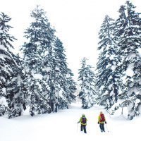 マウンテンフロー