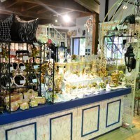 アラジンコレクション本店