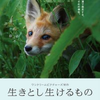 NPO法人かわうそ倶楽部