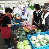 上川農業試験場