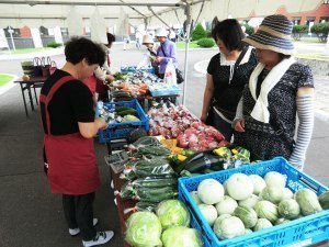 上川農業試験場