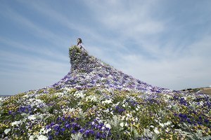 上川町 大雪森のガーデン