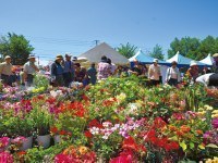 旭川 道北のニュース ライナーウェブ 119 ページ