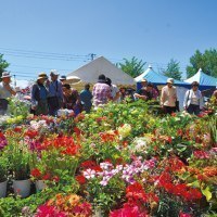 花フェスタ旭川実行委員会