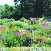 香りのガーデン