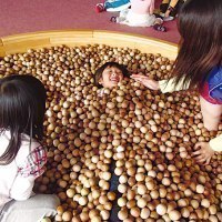 国立大雪青少年交流の家