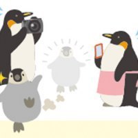 ライナーネットワーク