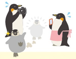 ライナーネットワーク
