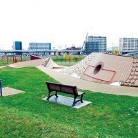 ライナーネットワーク