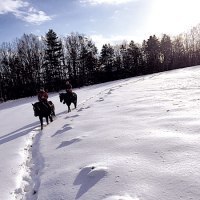 クラークホースガーデン