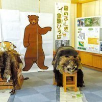 旭川市中央図書館/ＮＰＯ法人もりねっと北海道