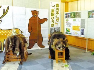 旭川市中央図書館/ＮＰＯ法人もりねっと北海道