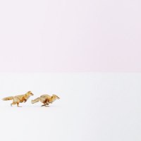 ロースターコースター