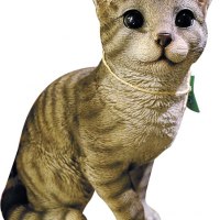 ライナーネットワーク