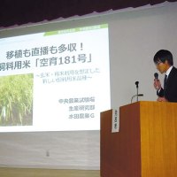 上川農業試験場