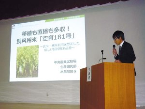 上川農業試験場