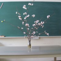 旭川市緑のセンター