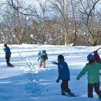 旭川市旭山動物園