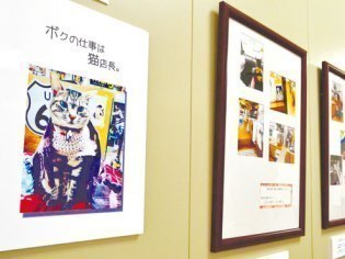 あにまある支援隊