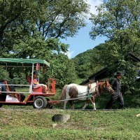 株式会社 東川振興公社