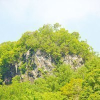 こたんまつり実行委員会