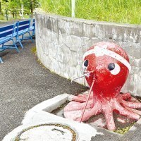 ライナーネットワーク