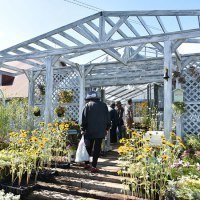 東神楽町営育苗センター