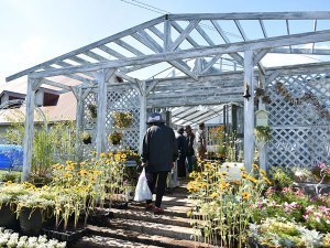 東神楽町営育苗センター