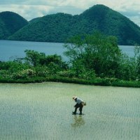 コープさっぽろ