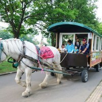 ばんえい競馬／レラ・スポット北彩都